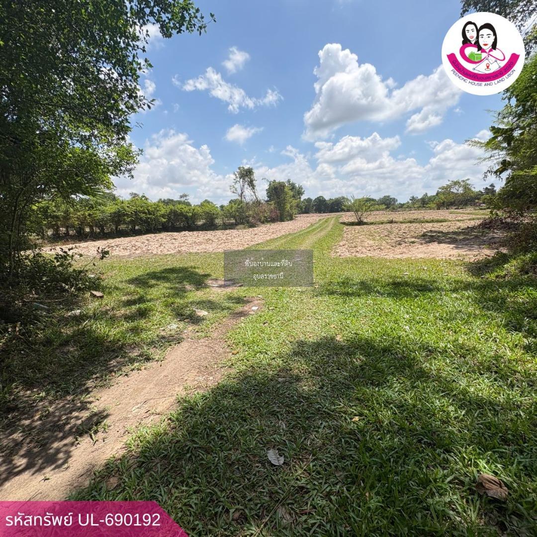 ขายที่ดินเปล่า หนองหว้า ต.ขามใหญ่ อ.เมือง จ.อุบลราชธานี