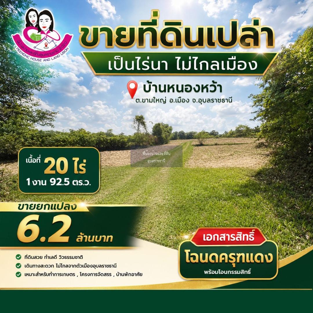 ขายที่ดินเปล่า หนองหว้า ต.ขามใหญ่ อ.เมือง จ.อุบลราชธานี