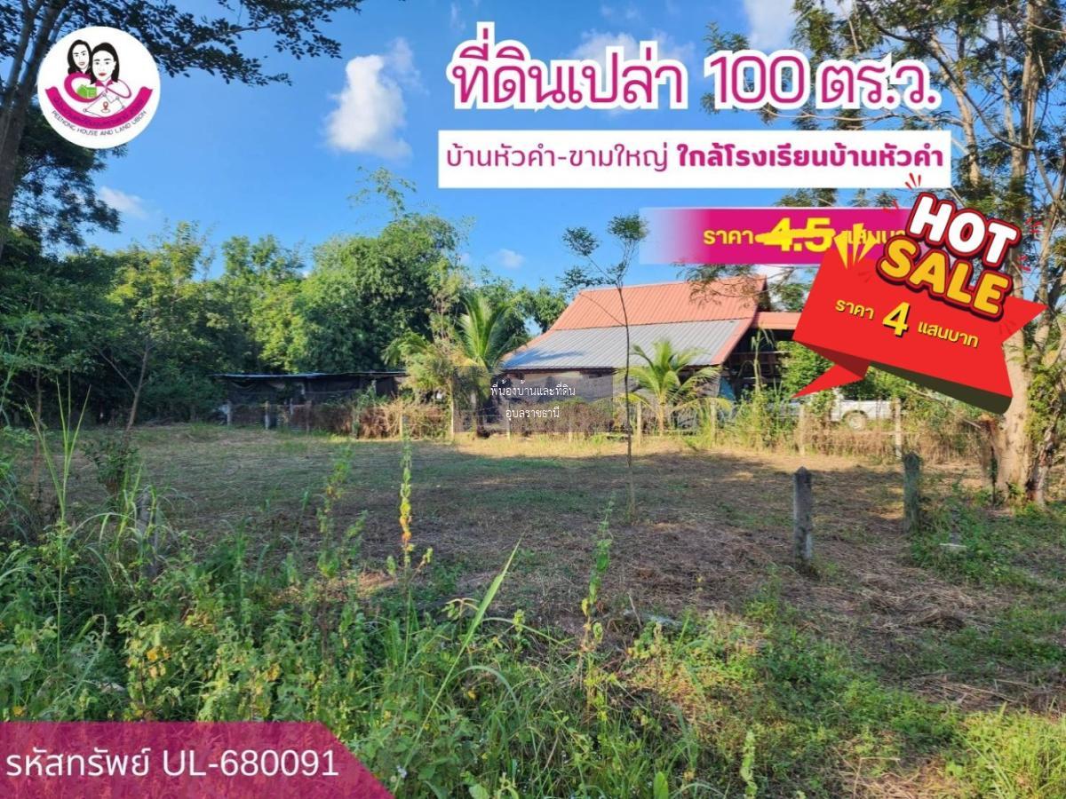 ขายที่ดินเปล่าโซนตำบลขามใหญ่ อ.เมือง จ.อุบลฯ