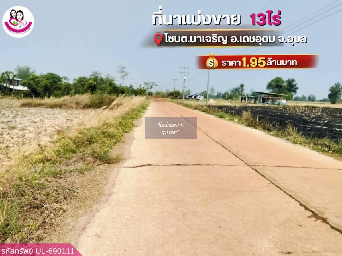ขายที่นาแปลงใหญ่ โซน ต.นาเจริญ อ.เดชอุดม จ.อุบลราชธานี