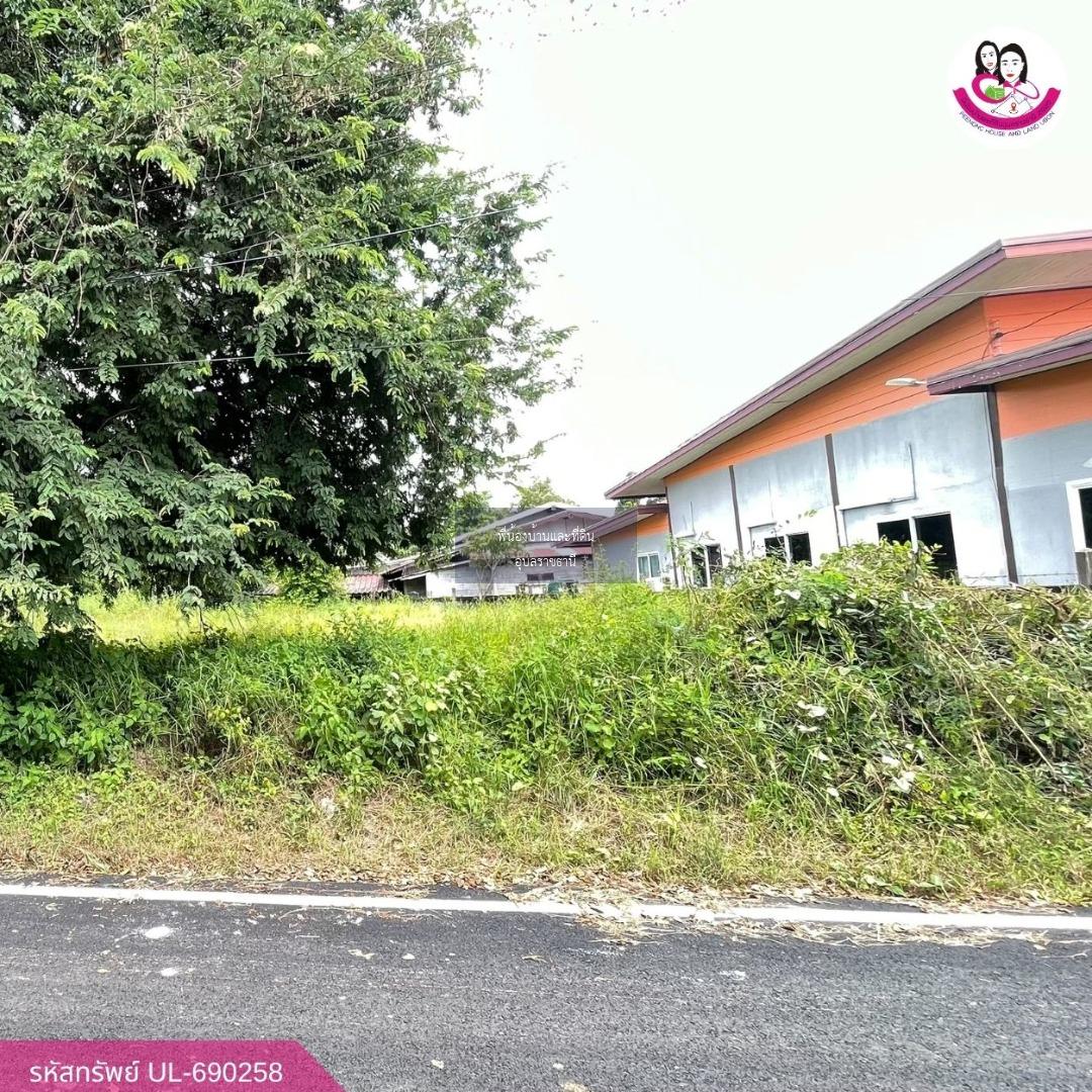 ขายที่ดินเปล่า โซนบุ่งหวาย วารินชำราบ