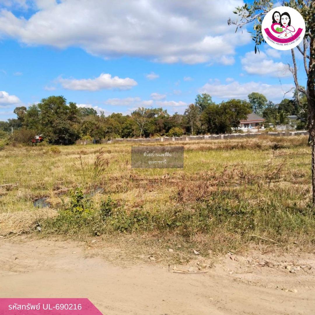ขายที่ดินทำเลสวย ใกล้อ่างเก็บน้ำห้วยวังนอง อ.เมืองอุบลราชธานี