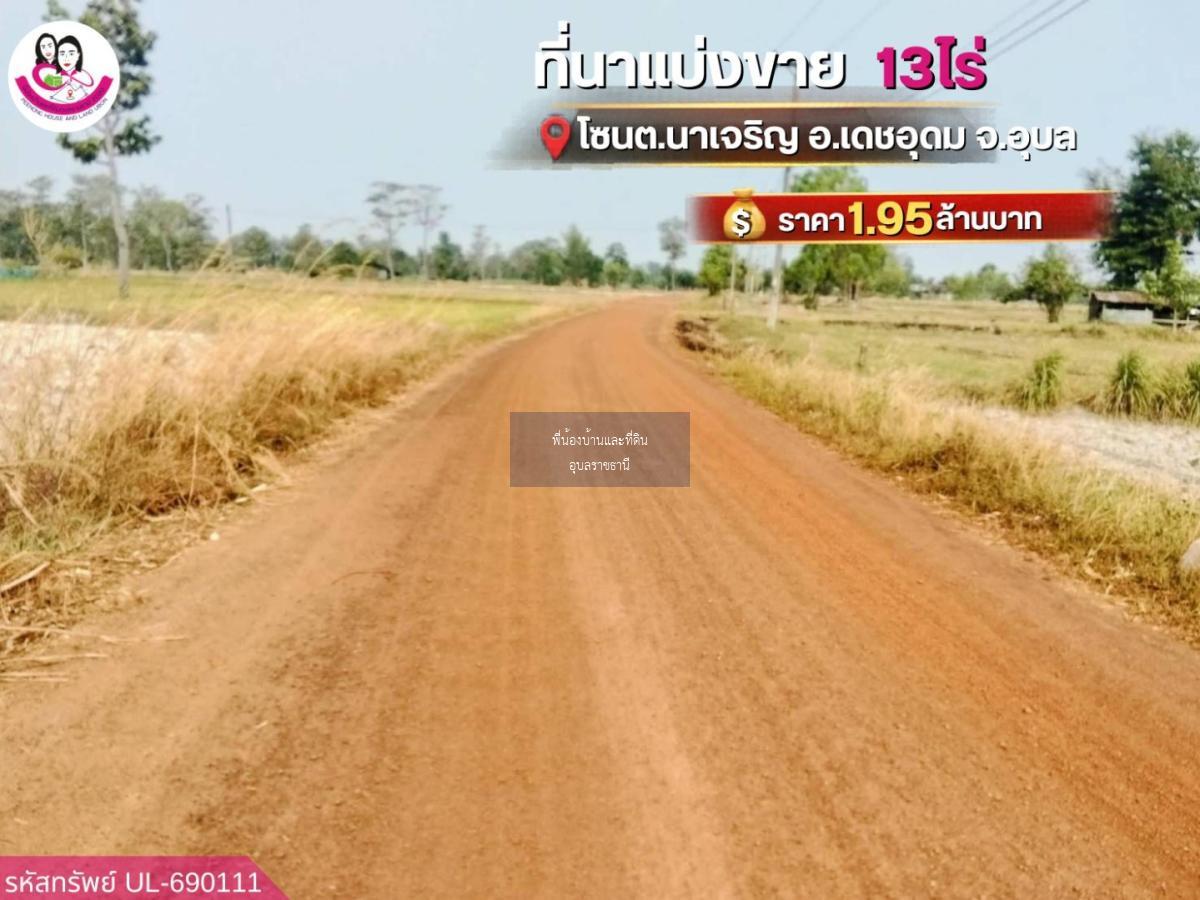 ขายที่นาแปลงใหญ่ โซน ต.นาเจริญ อ.เดชอุดม จ.อุบลราชธานี