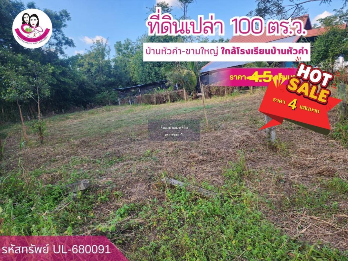 ขายที่ดินเปล่าโซนตำบลขามใหญ่ อ.เมือง จ.อุบลฯ