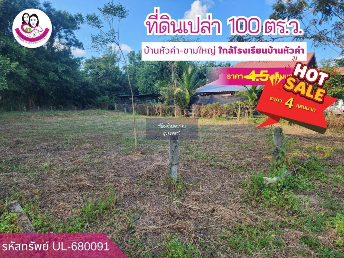 ขายที่ดินเปล่าโซนตำบลขามใหญ่ อ.เมือง จ.อุบลฯ