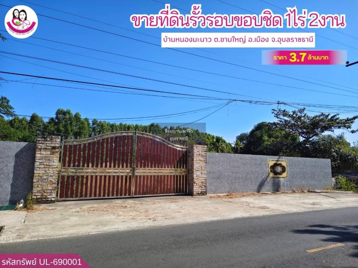 ขายที่ดินแปลงสวยติดถนนลาดยางบ้านหนองมะนาว