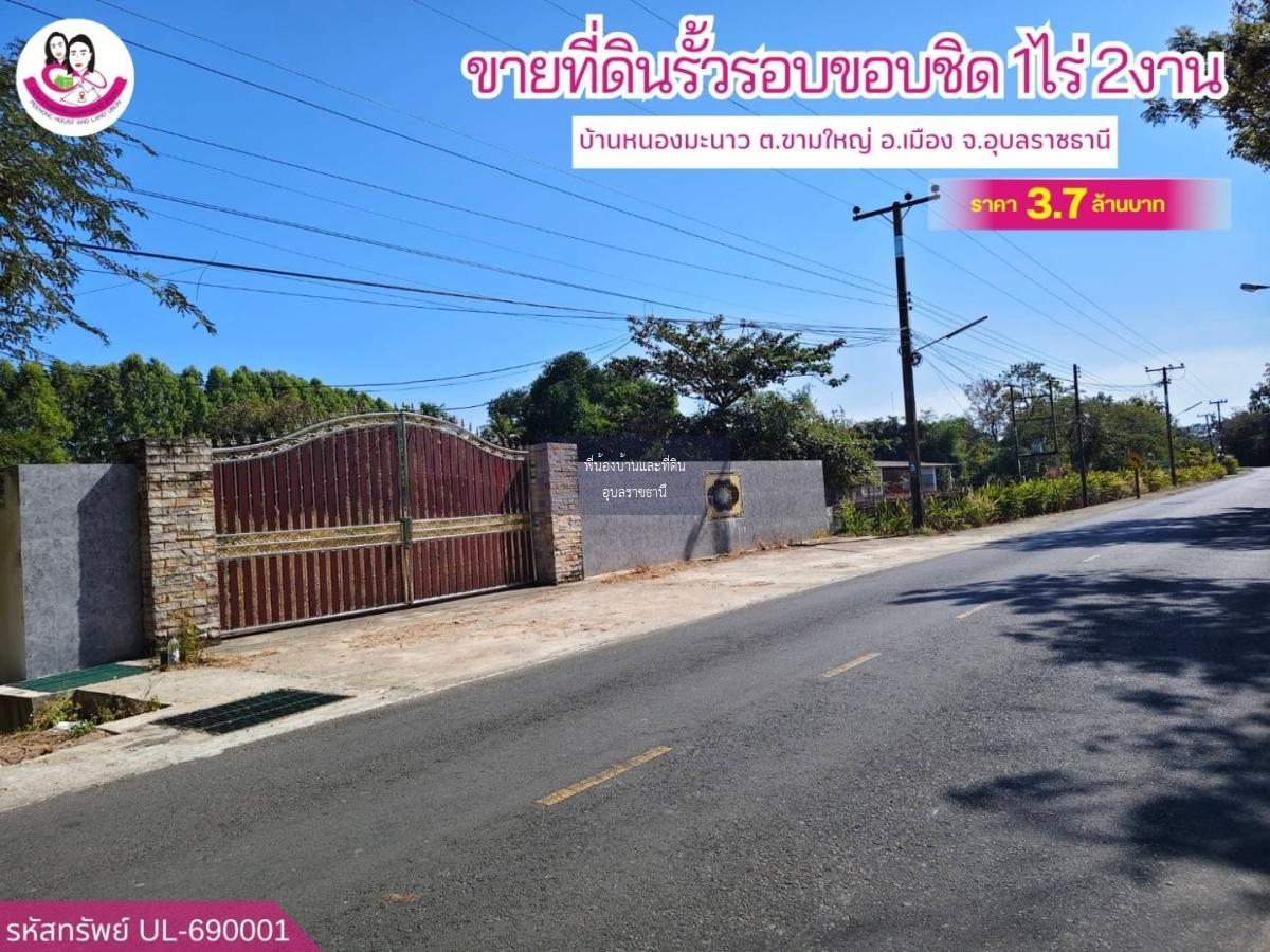 ขายที่ดินแปลงสวยติดถนนลาดยางบ้านหนองมะนาว