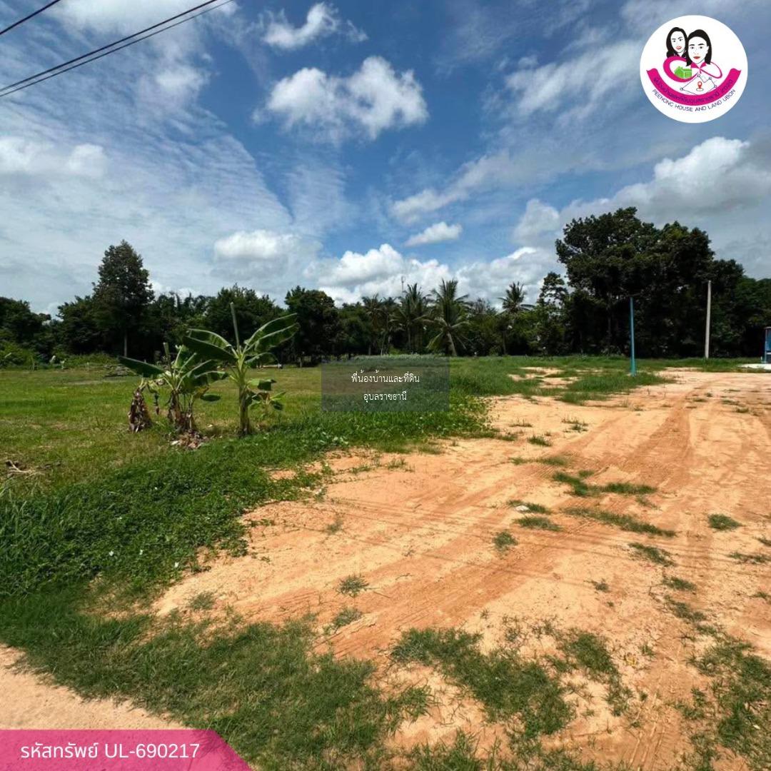 ขายที่ดินเปล่าทำเลทอง โซนบ้านคำนางรวย อ.วารินชำราบ จ.อุบลราชธานี 