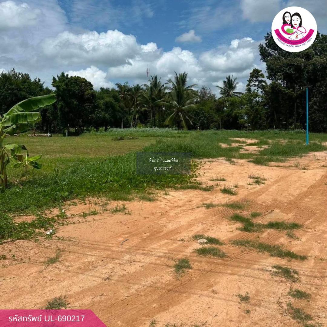 ขายที่ดินเปล่าทำเลทอง โซนบ้านคำนางรวย อ.วารินชำราบ จ.อุบลราชธานี 