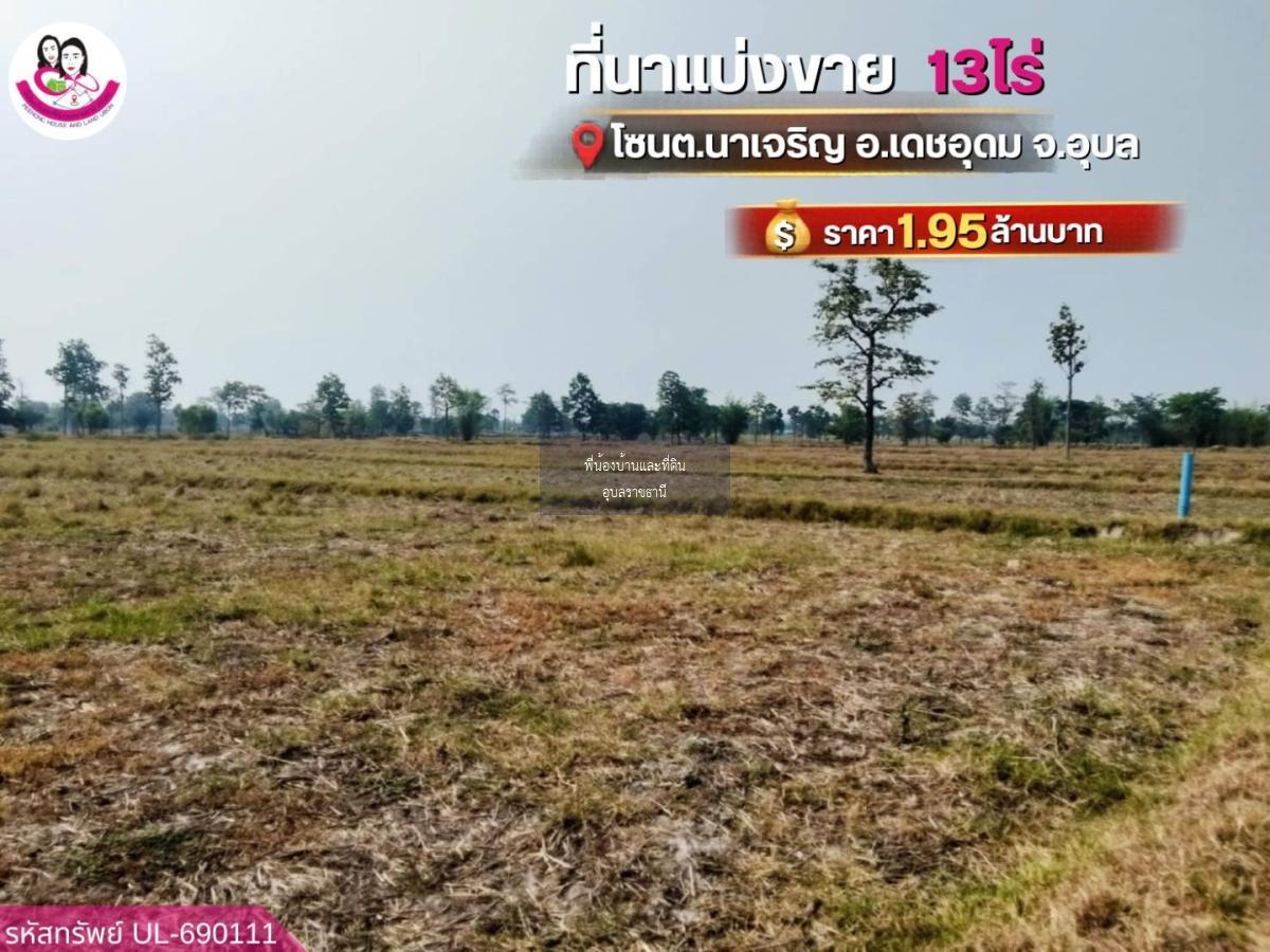 ขายที่นาแปลงใหญ่ โซน ต.นาเจริญ อ.เดชอุดม จ.อุบลราชธานี