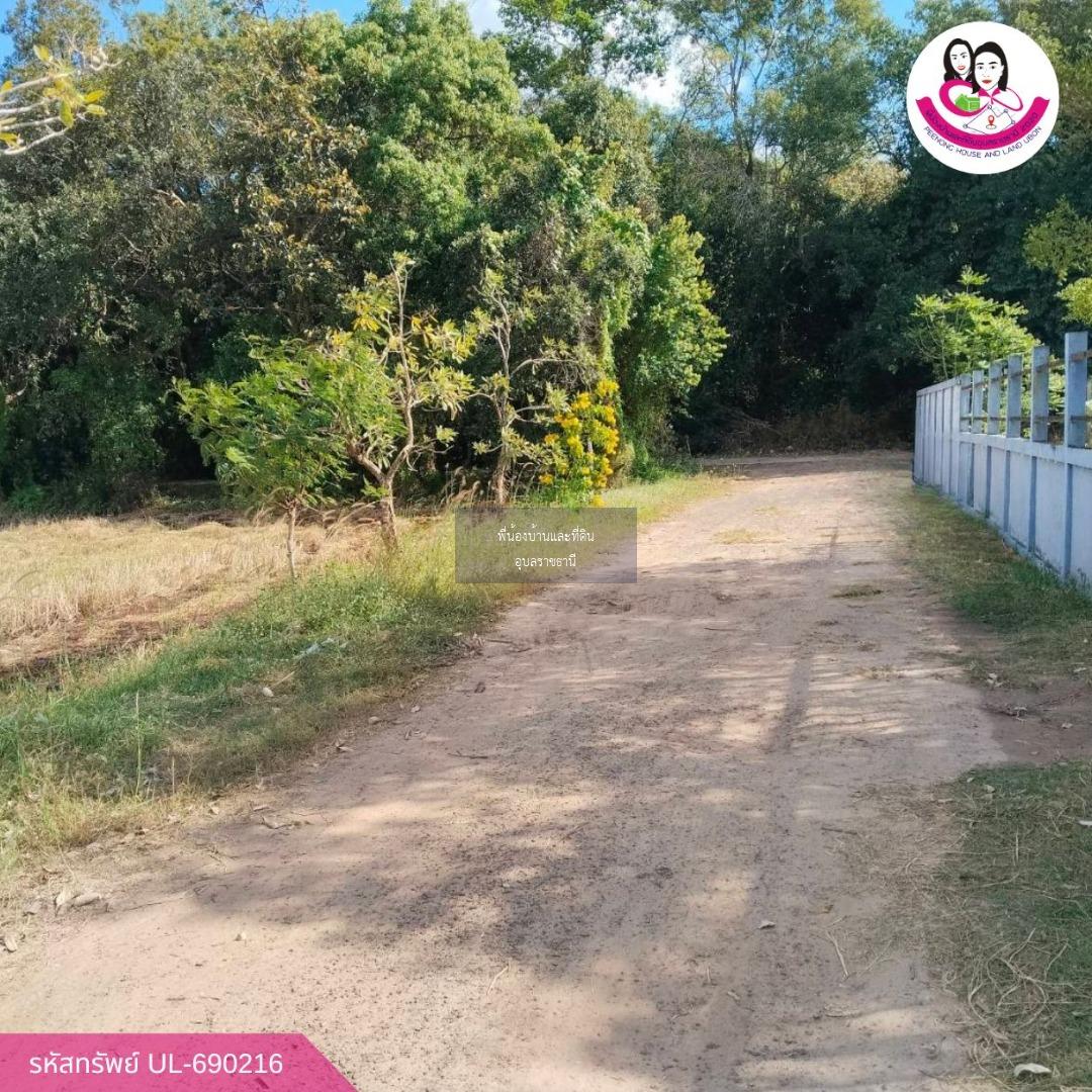 ขายที่ดินทำเลสวย ใกล้อ่างเก็บน้ำห้วยวังนอง อ.เมืองอุบลราชธานี
