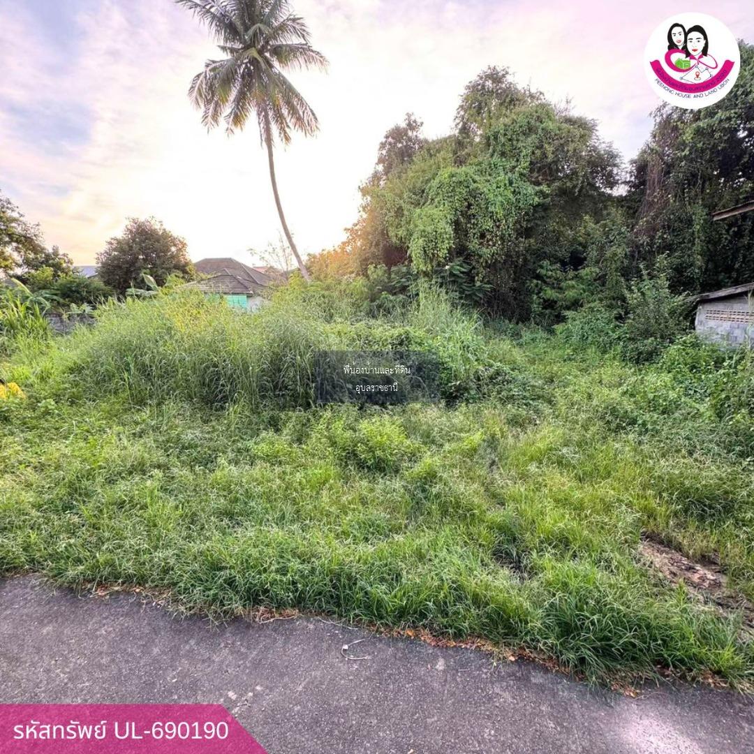 ขายที่ดิน ซอยชยางกูร 40 อำเภอเมือง จังหวัดอุบลราชธานี