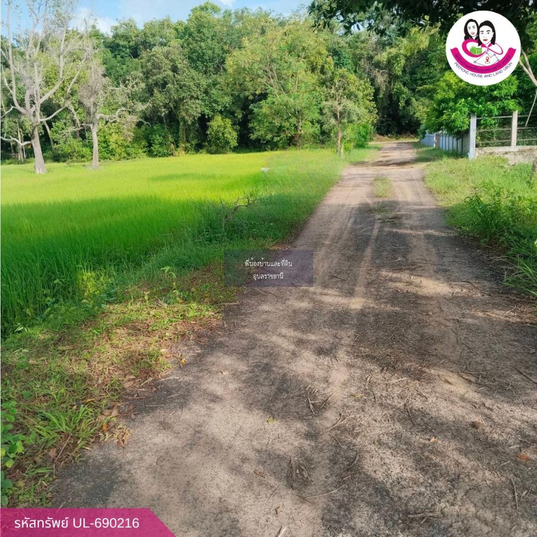 ขายที่ดินทำเลสวย ใกล้อ่างเก็บน้ำห้วยวังนอง อ.เมืองอุบลราชธานี