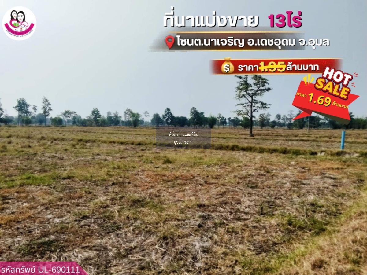 ขายที่นาแปลงใหญ่ โซน ต.นาเจริญ อ.เดชอุดม จ.อุบลราชธานี