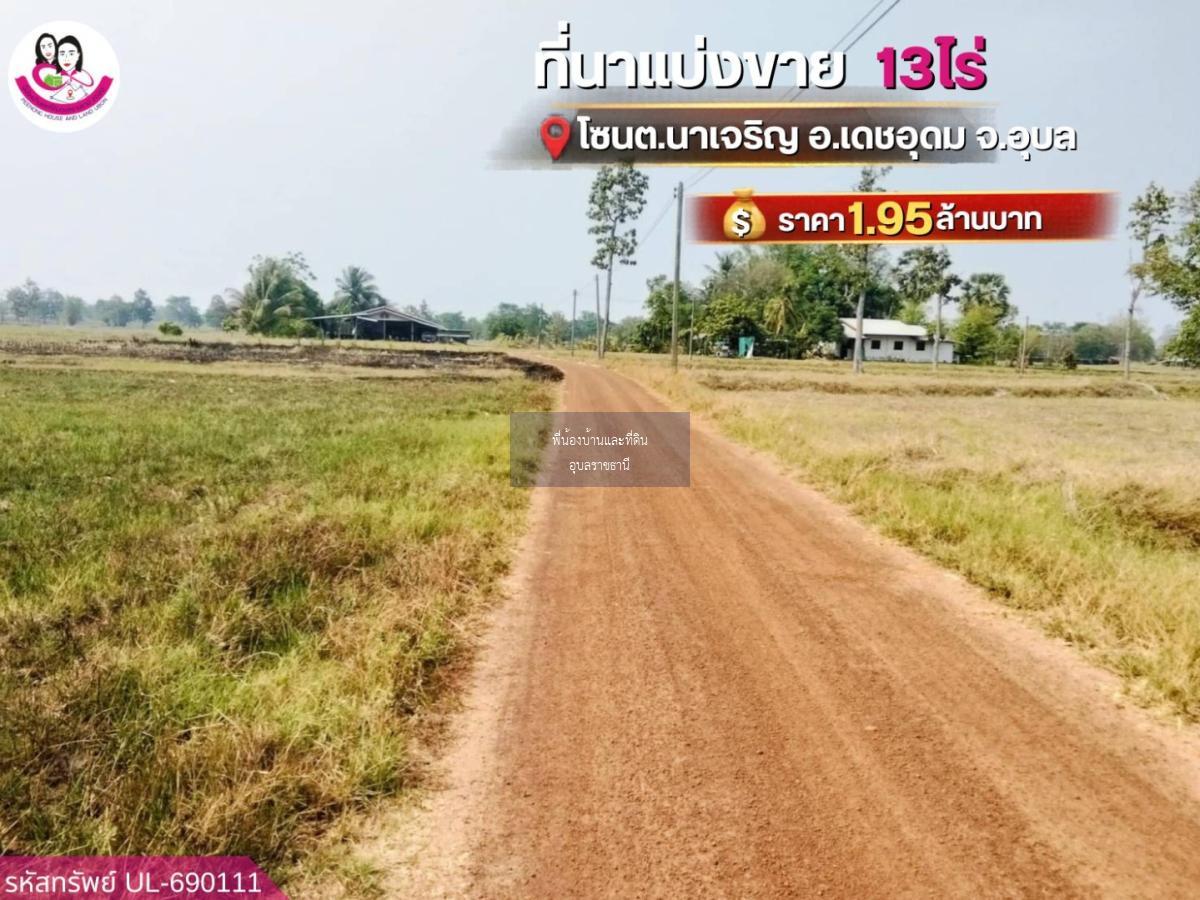 ขายที่นาแปลงใหญ่ โซน ต.นาเจริญ อ.เดชอุดม จ.อุบลราชธานี