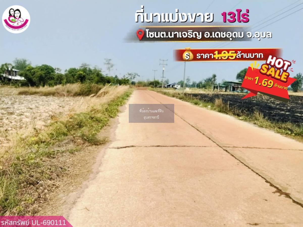 ขายที่นาแปลงใหญ่ โซน ต.นาเจริญ อ.เดชอุดม จ.อุบลราชธานี
