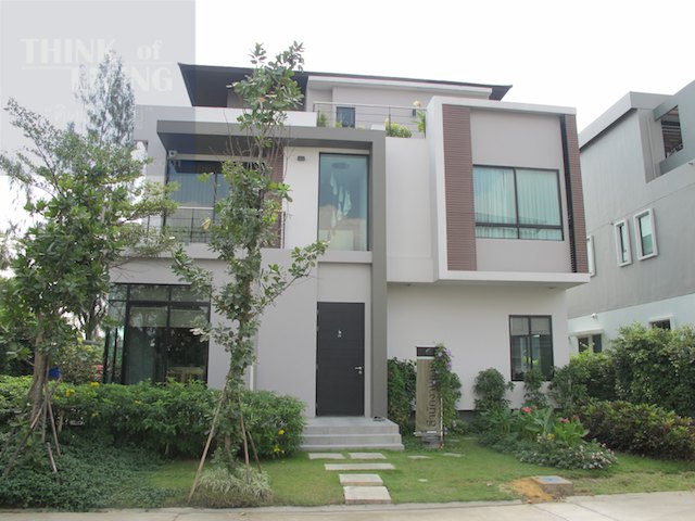 banner-project-details