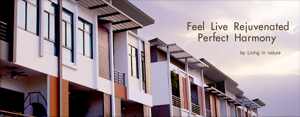 banner-project-details