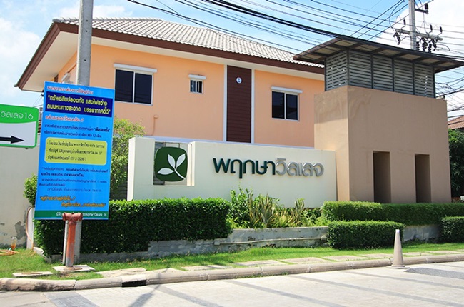 banner-project-details