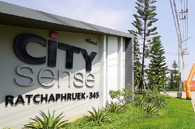 banner-project-details